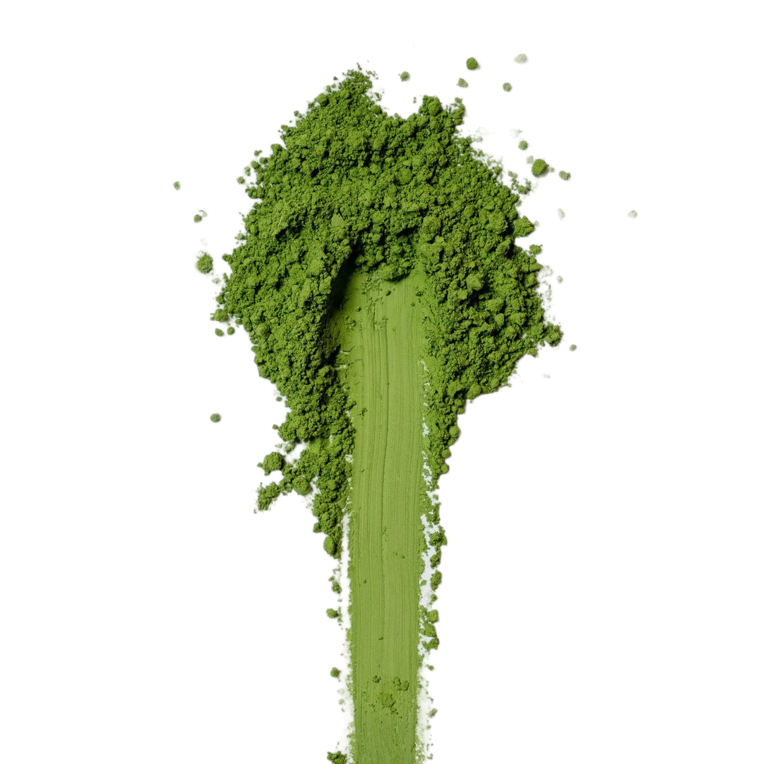 Ceremonial Grade Matcha Pulver – intensiv grün, erste Ernte