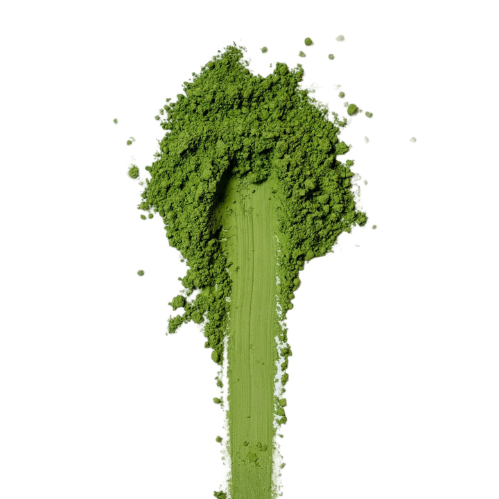 Ceremonial Grade Matcha Pulver – intensiv grün, erste Ernte
